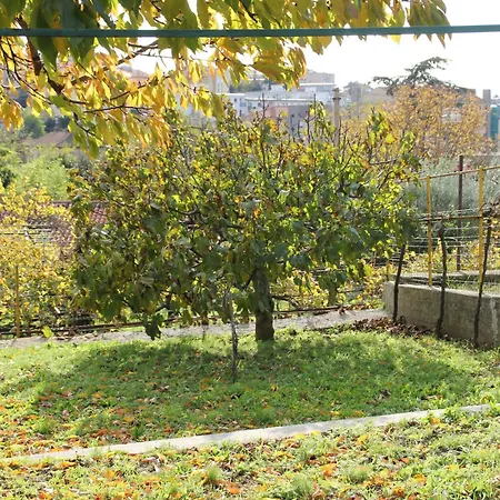 Il Gelsomino-2